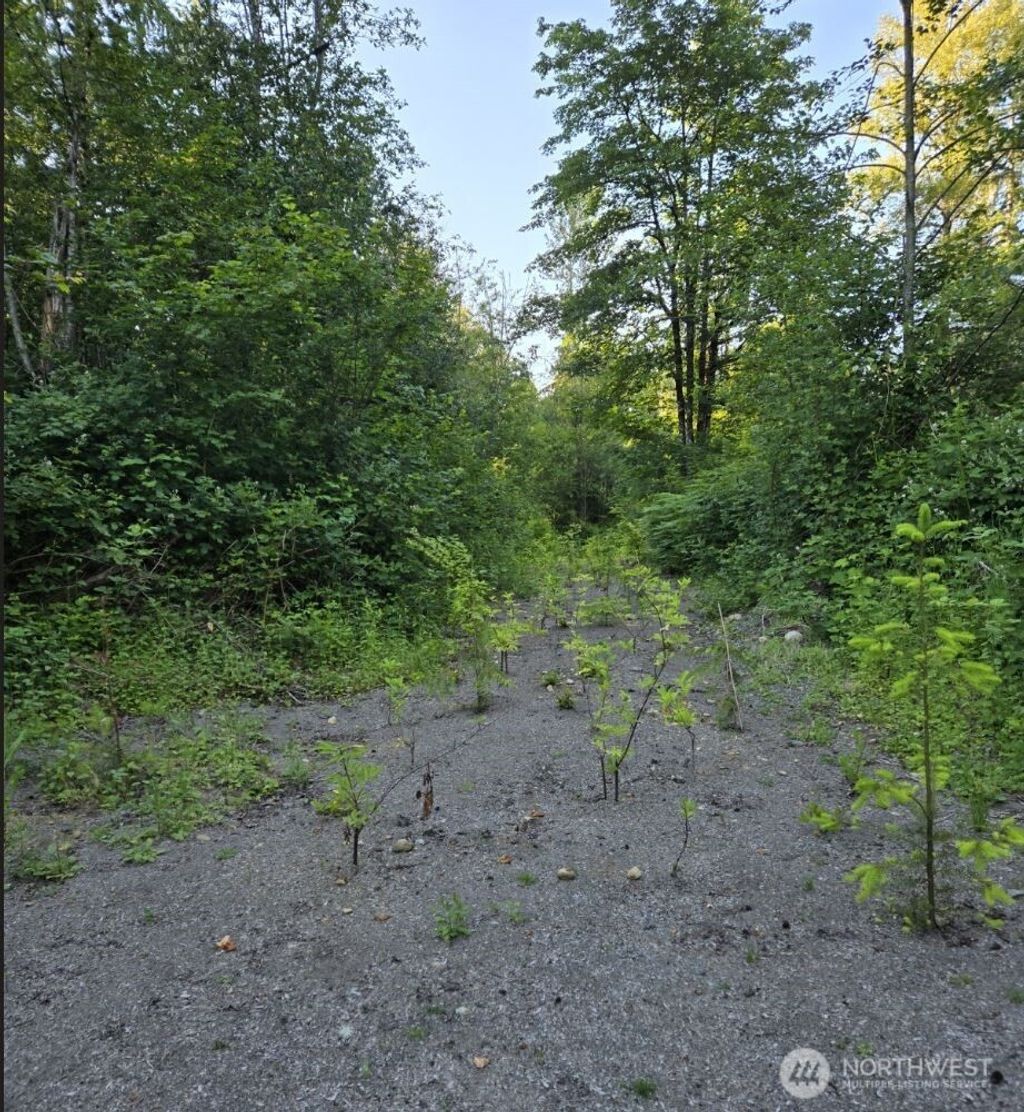 Photo of 30002 NE Big Rock Road, Duvall, WA 98019 (MLS # 2390854)