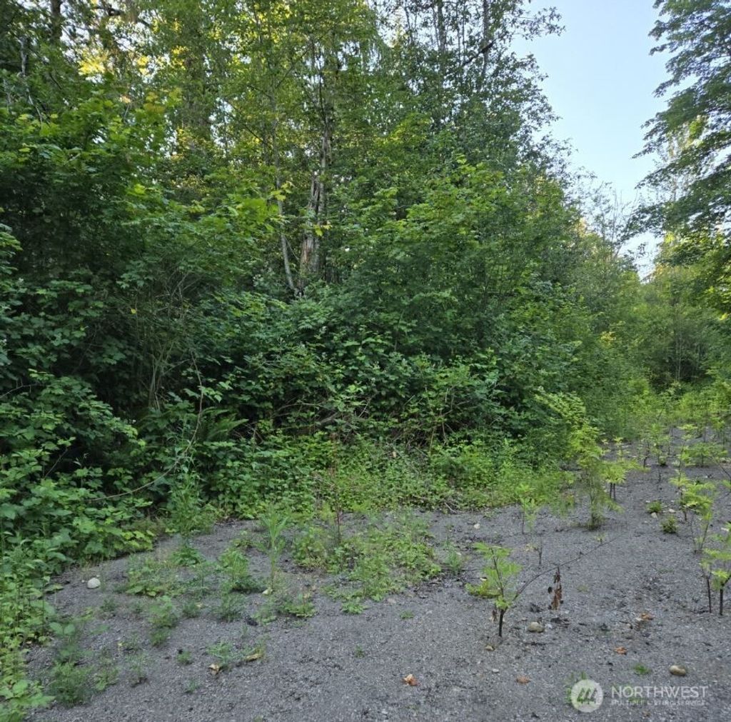 Photo of 30002 NE Big Rock Road, Duvall, WA 98019 (MLS # 2390854)