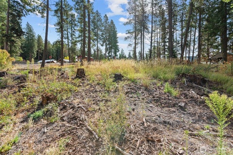 Photo of 25711 Bridle Lane, Leavenworth, WA 98826 (MLS # 2575971)