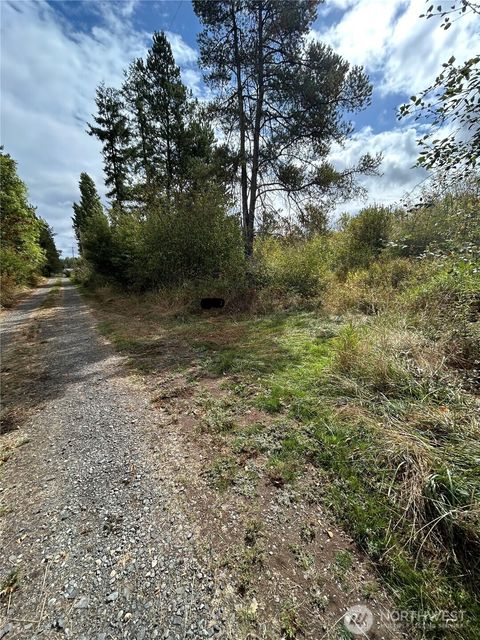 0 Nicholson Road Toledo WA 98591