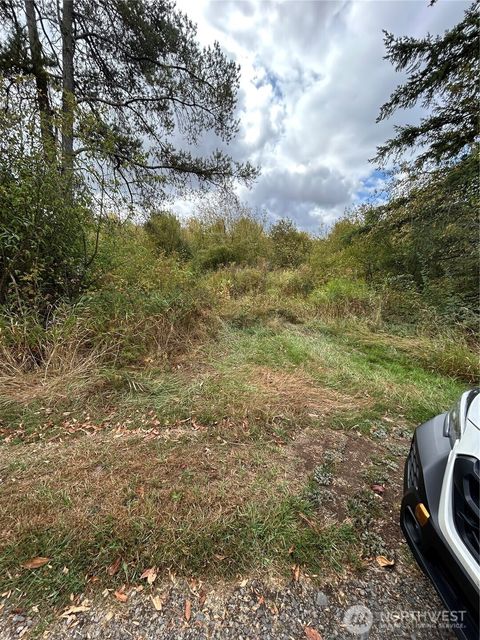 0 Nicholson Road Toledo WA 98591