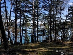 1 Thatcher Pass Road