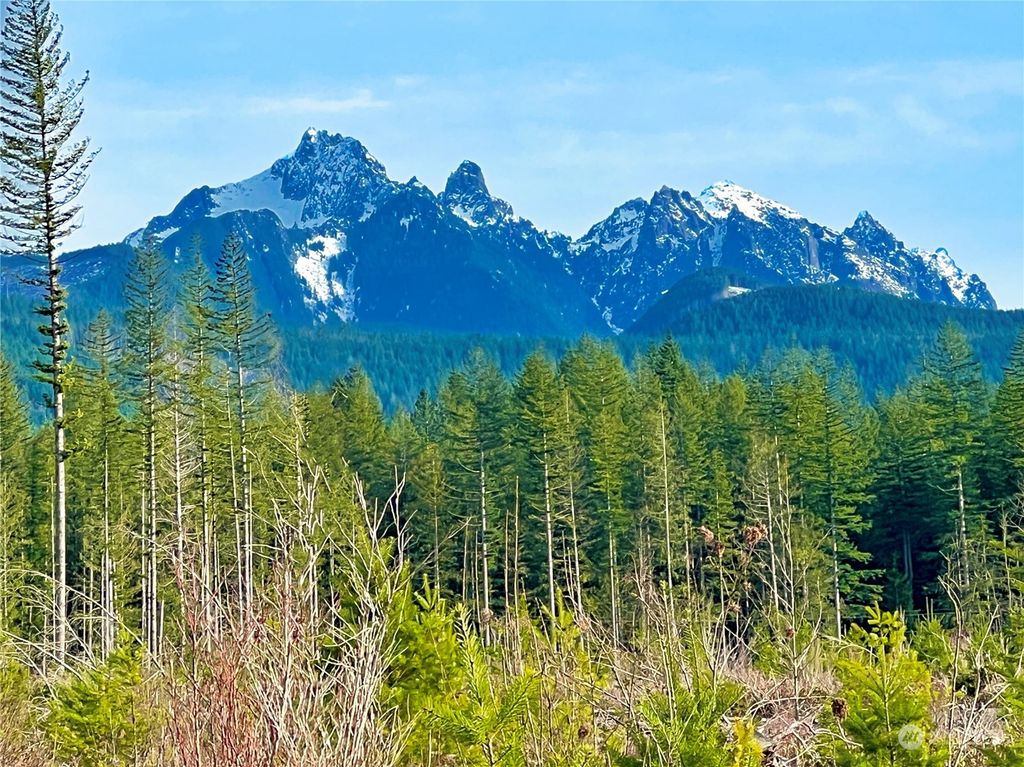 Photo of 16348 426th Street SE, Gold Bar, WA 98251 (MLS # 2186087)