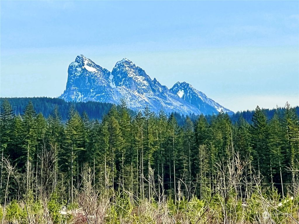 Photo of 16348 426th Street SE, Gold Bar, WA 98251 (MLS # 2186087)