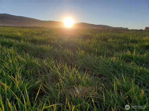 Photo of 1621 Katen Road, Ellensburg, WA 98926 (MLS # 2503332)