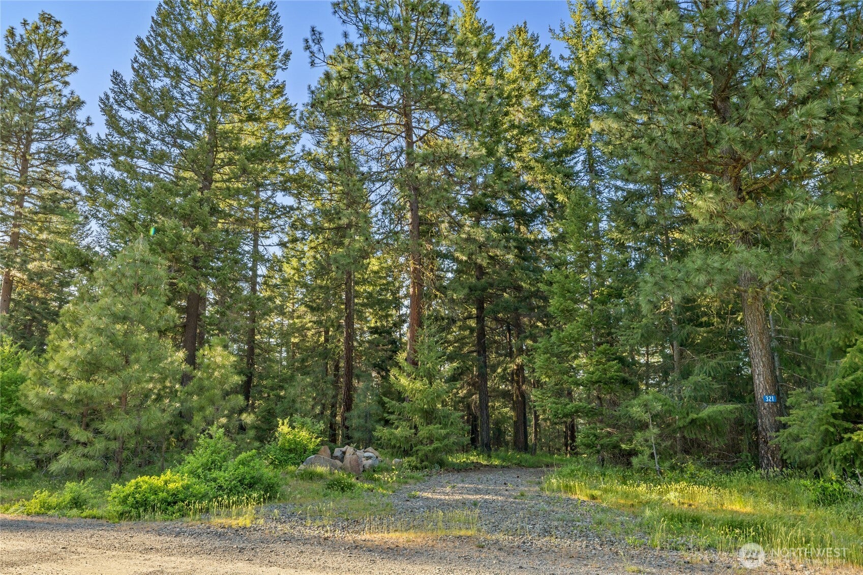321 Graham Road