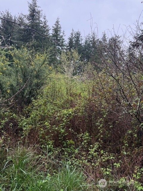 Photo of 1 NKA Katherine Street, Port Townsend, WA 98368 (MLS # 2504477)