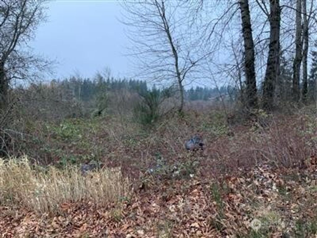 Photo of 0 Lot 4 240th Street SE, Kent, WA 98042 (MLS # 2541276)