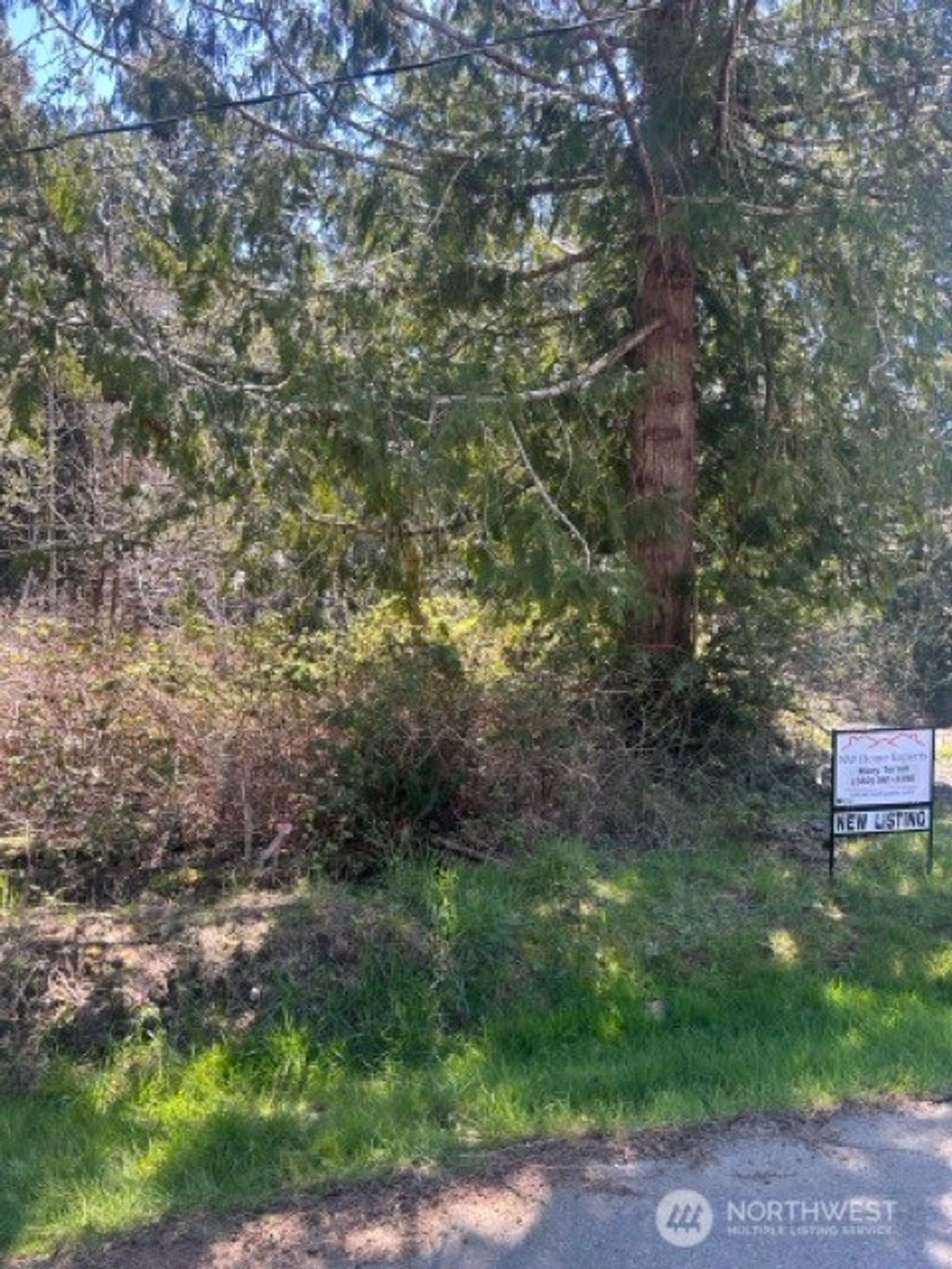 Photo of 2201 Westwind Dr NW Dr, Olympia, WA 98502 (MLS # 2504848)