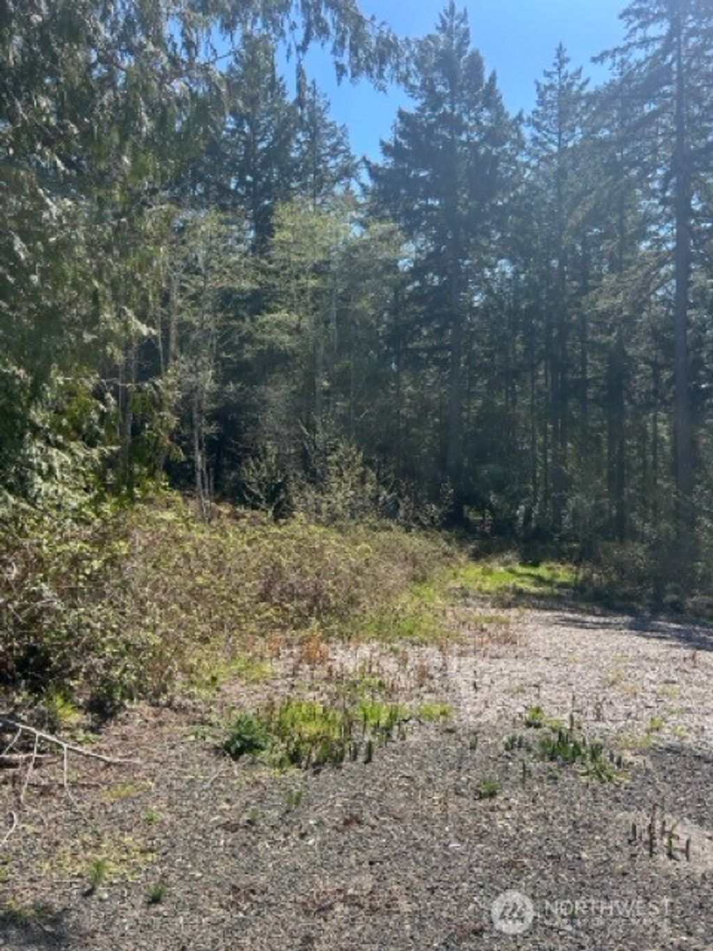 Photo of 2201 Westwind Dr NW Dr, Olympia, WA 98502 (MLS # 2504848)