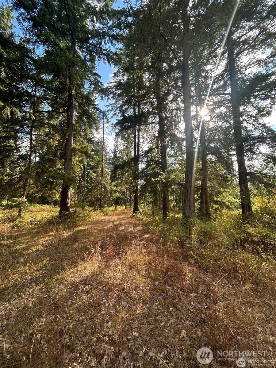 17837 Sargent Road SW