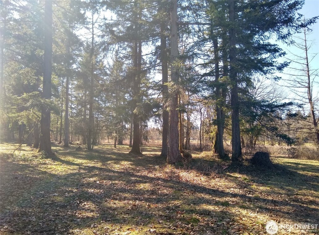 17837 Sargent Road SW