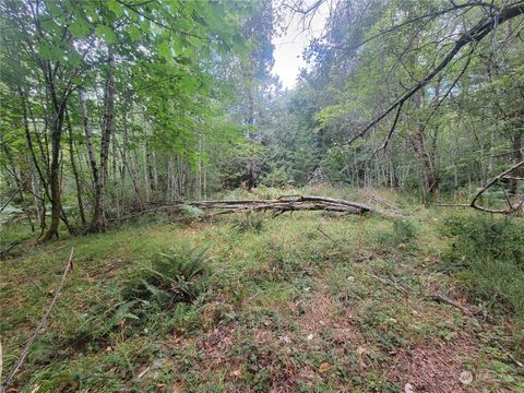 900 E Wilson Way Grapeview WA 98546