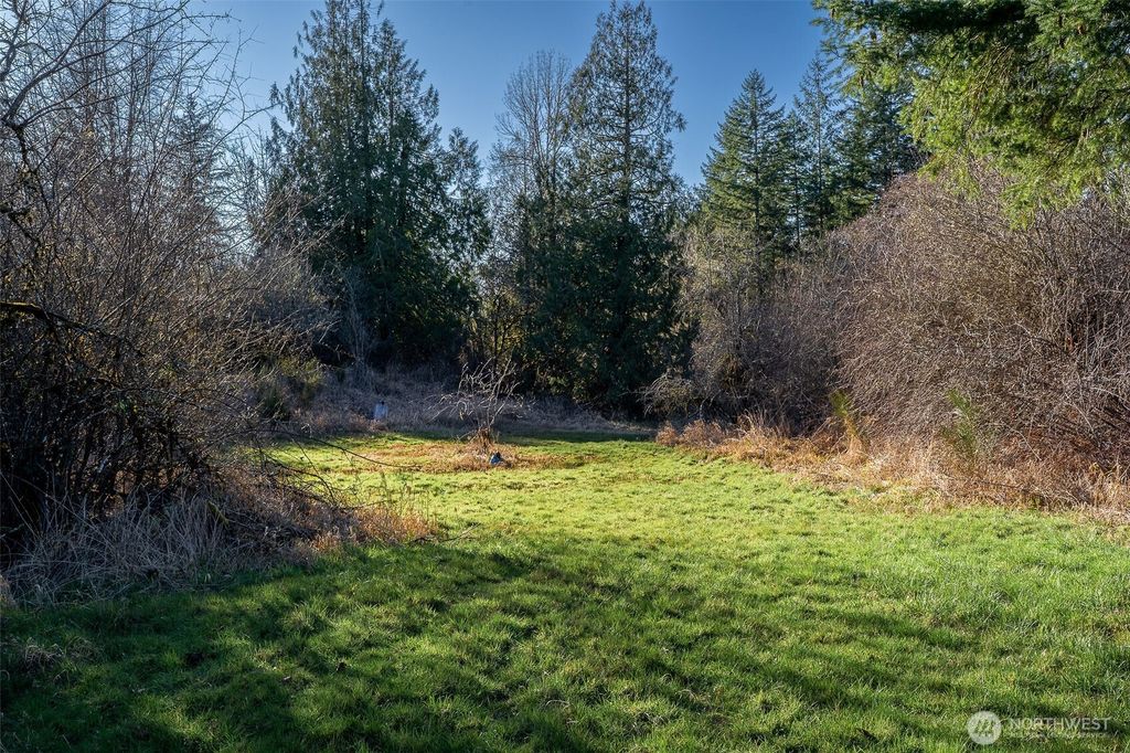Photo of 14647 Case Road SW, Rochester, WA 98579 (MLS # 2480958)
