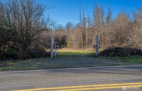 Photo of 14647 Case Road SW, Rochester, WA 98579 (MLS # 2480958)