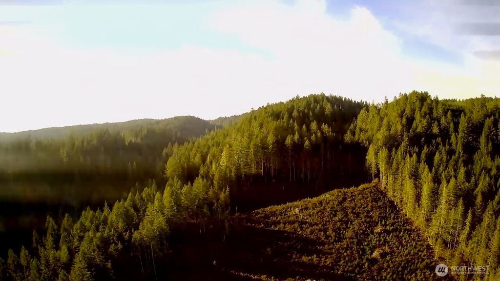 Photo of 0 N US Highway 101, Shelton, WA 98584 (MLS # 2455426)