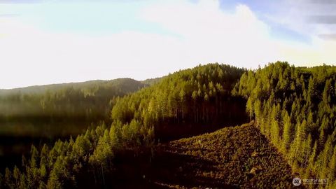 Photo of 0 N US Highway 101, Shelton, WA 98584 (MLS # 2455426)