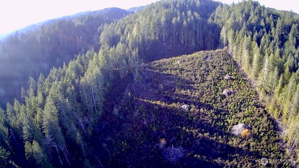 Photo of 0 N US Highway 101, Shelton, WA 98584 (MLS # 2455426)