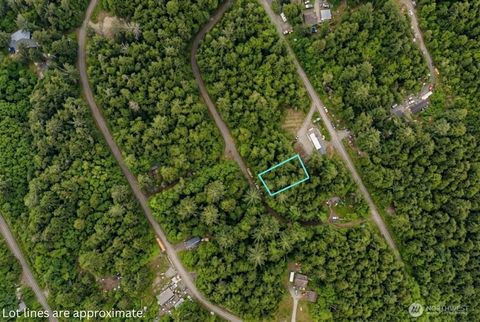 Photo of 0 xxx Hummingbird Drive, Taholah, WA 98587 (MLS # 2523285)