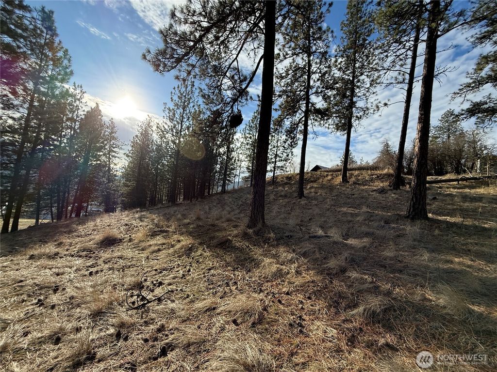 Photo of 0 Adams Street, Republic, WA 99166 (MLS # 2467025)