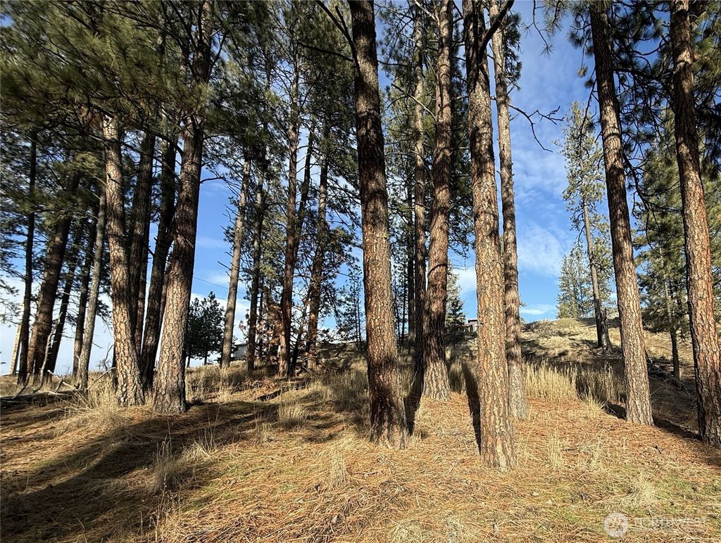 Photo of 0 Adams Street, Republic, WA 99166 (MLS # 2467025)