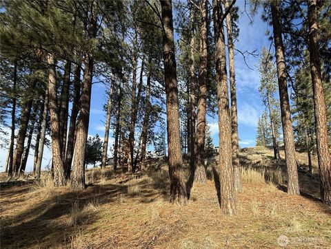 Photo of 0 Adams Street, Republic, WA 99166 (MLS # 2467025)