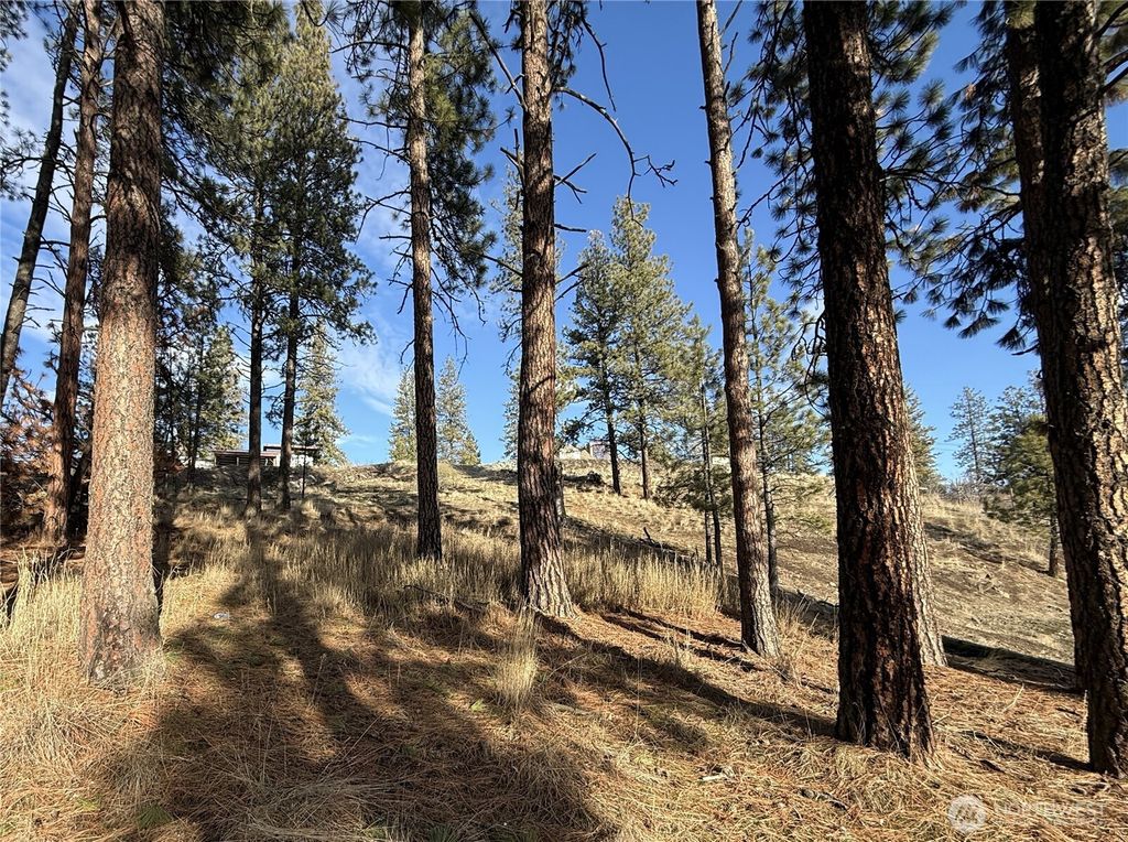 Photo of 0 Adams Street, Republic, WA 99166 (MLS # 2467025)