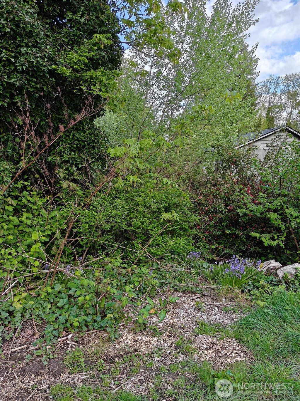 Photo of 8813 42nd Avenue S, Seattle, WA 98118 (MLS # 2502422)