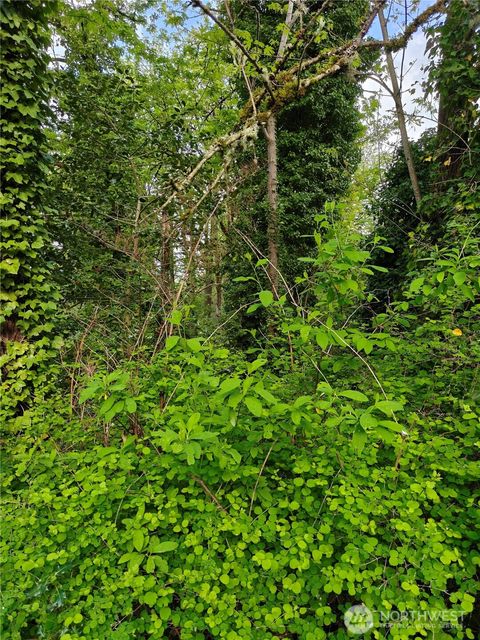 Photo of 8813 42nd Avenue S, Seattle, WA 98118 (MLS # 2502422)