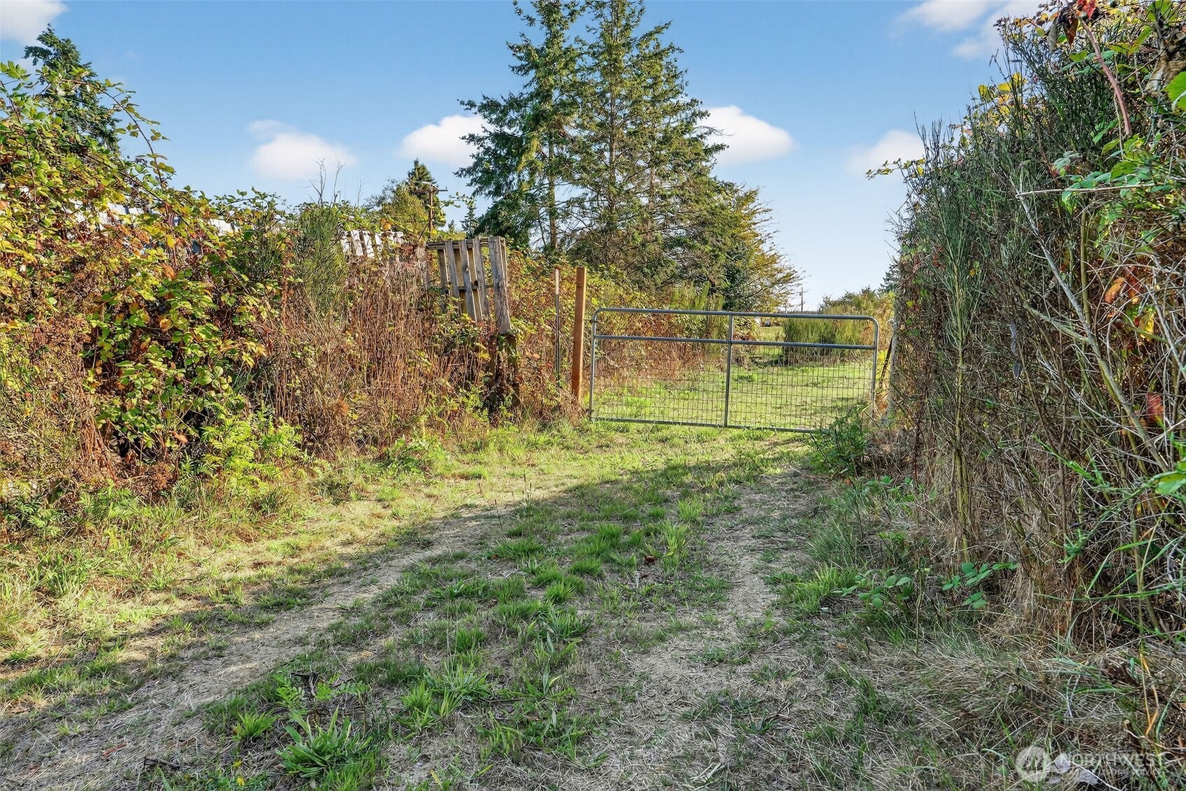 24525 59th Avenue SW