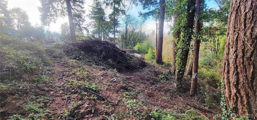 Photo of 3202 17th Street, Bremerton, WA 98312 (MLS # 2461071)