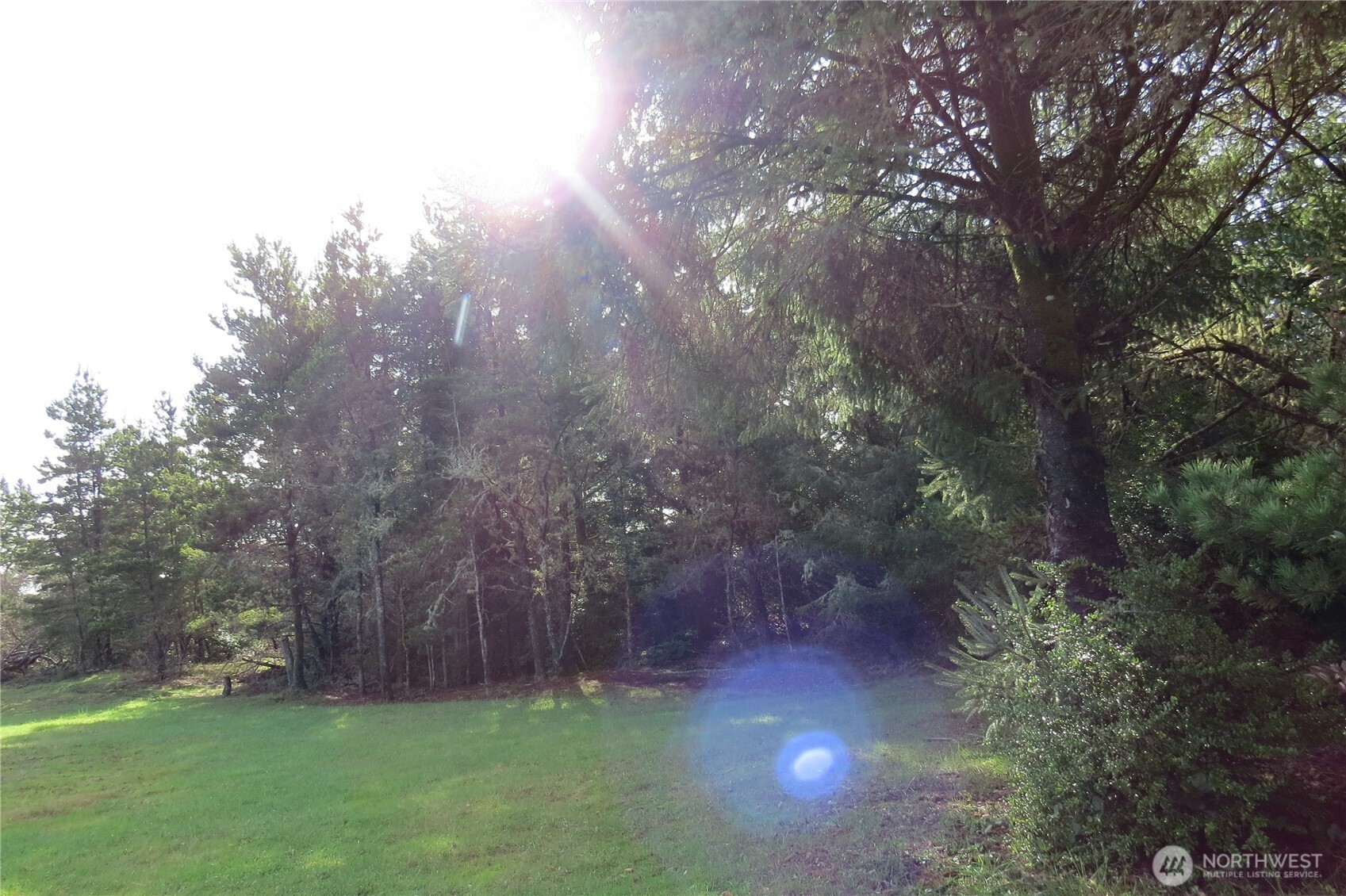 326 Wildwood Avenue SE