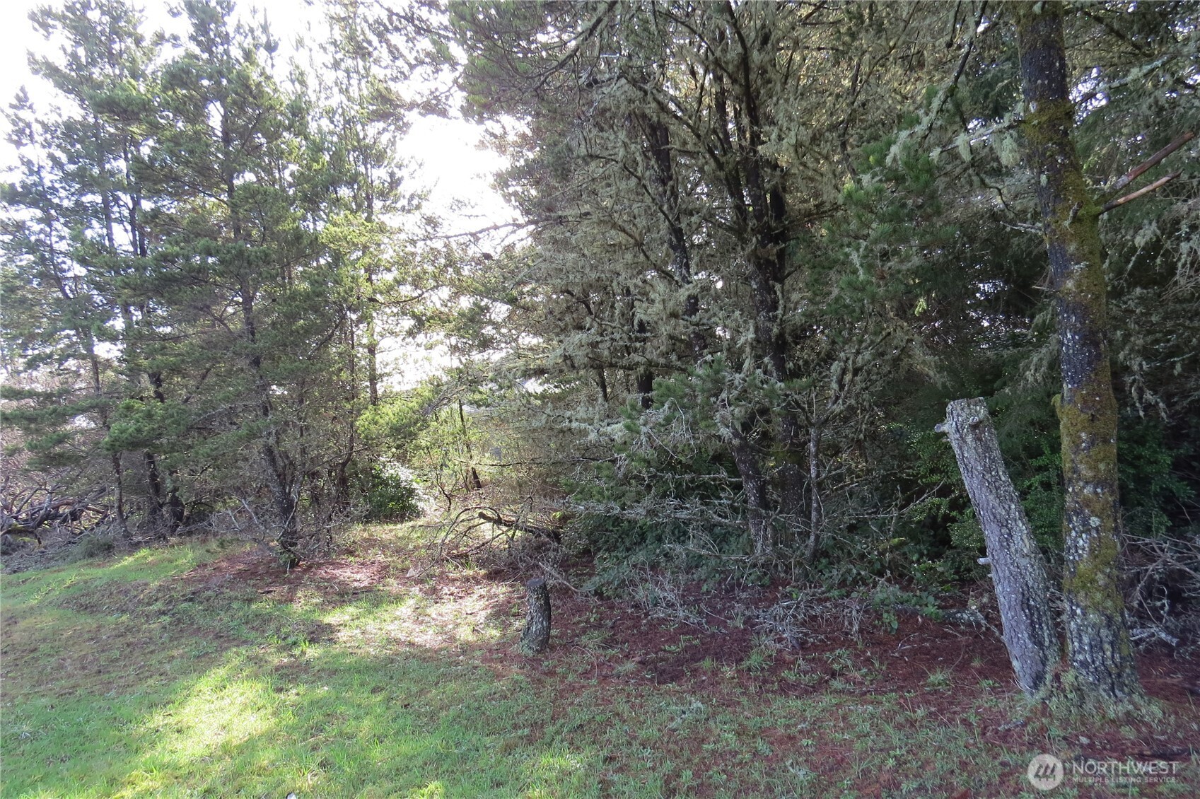 326 Wildwood Avenue SE