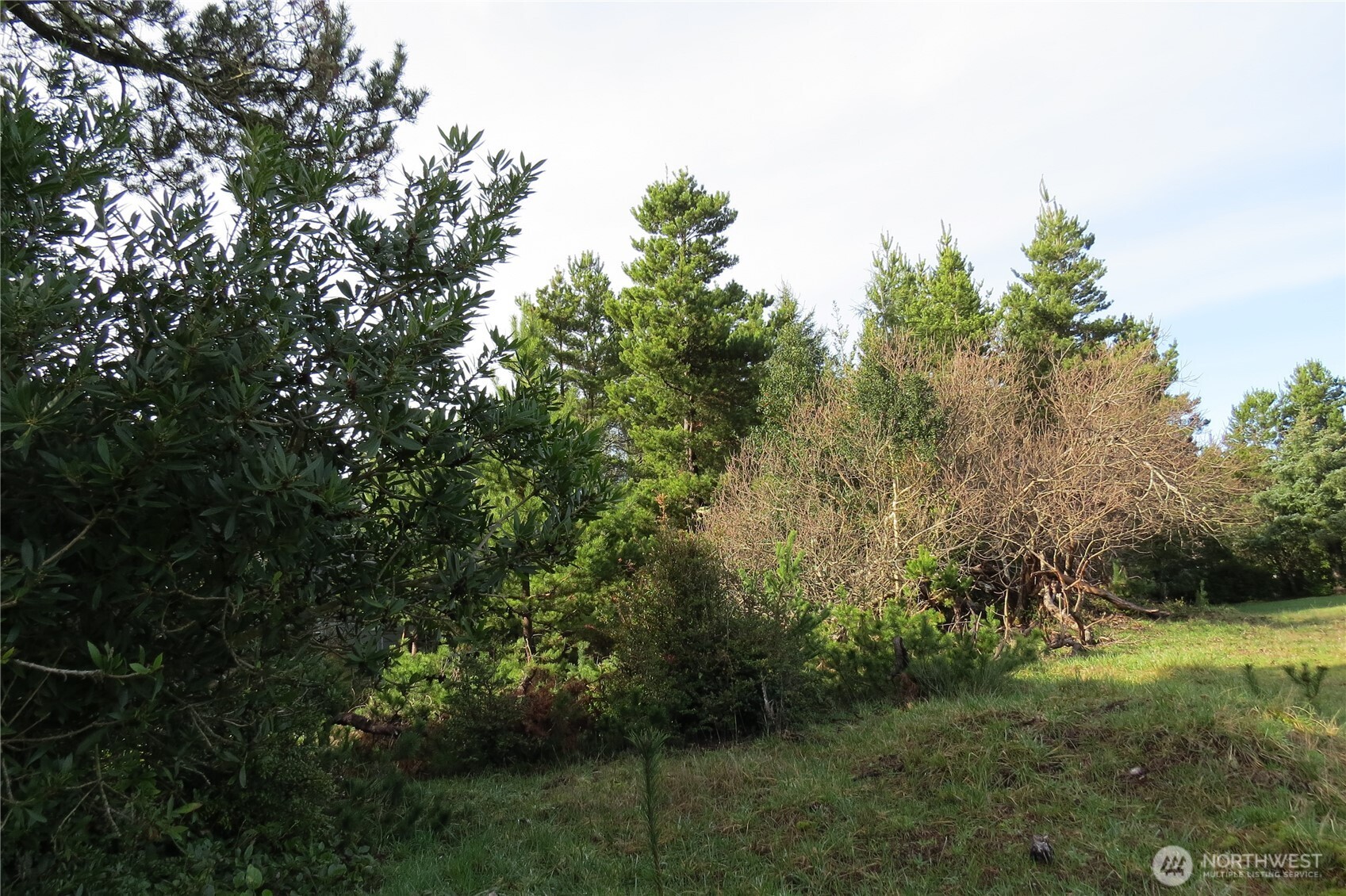 326 Wildwood Avenue SE