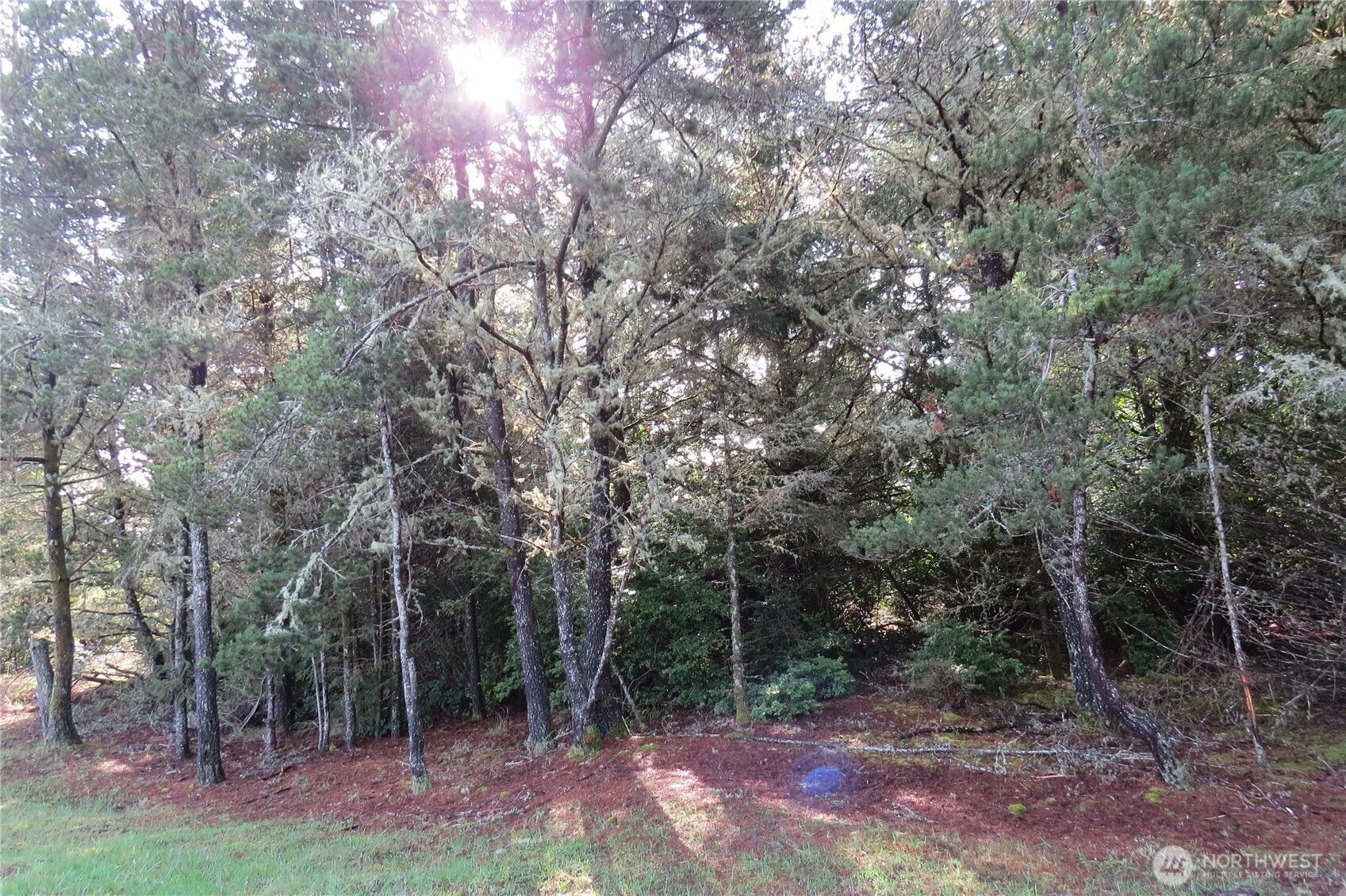 326 Wildwood Avenue SE