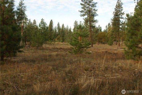 Photo of 0 7-1, 7-2 Ginger Way, Goldendale, WA 98620 (MLS # 2590446)