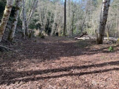 61 E woods Place Belfair WA 98528