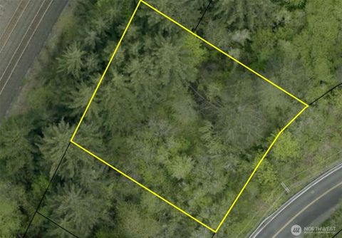 0 1st Street Winlock WA 98596
