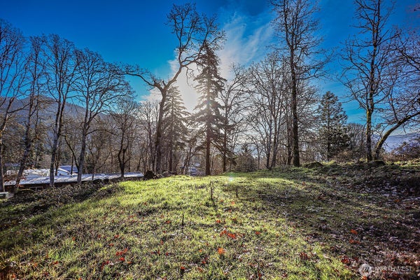 912 HILLSIDE LN, WHITE SALMON, WA 98672 - Image fe3f35bccaf0c58f2c630cc9dd8b524e/941032843