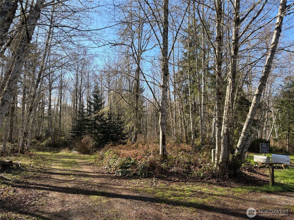 Photo of 0 Blacktail Court, Quilcene, WA 98376 (MLS # 2499464)