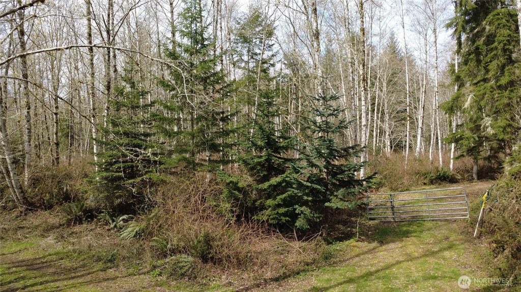 Photo of 0 Blacktail Court, Quilcene, WA 98376 (MLS # 2499464)