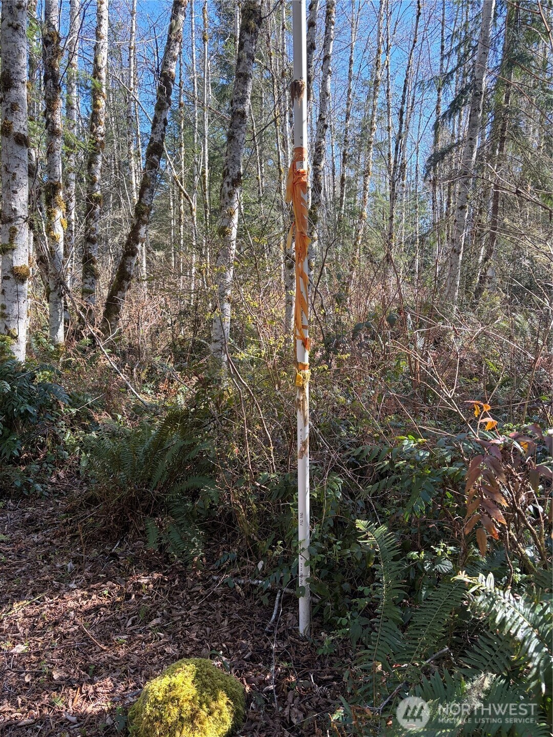 0 Blacktail Court