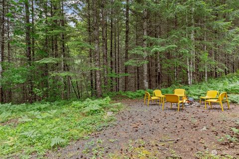 A home in Packwood