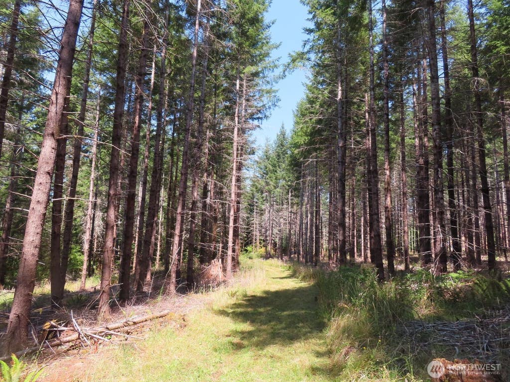 Photo of 0 XXX Chandler Road, Doty, WA 98572 (MLS # 2566749)