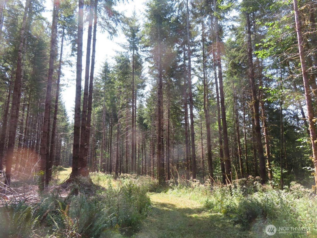 Photo of 0 XXX Chandler Road, Doty, WA 98572 (MLS # 2566749)
