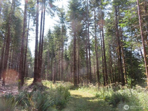 Photo of 0 XXX Chandler Road, Doty, WA 98572 (MLS # 2566749)