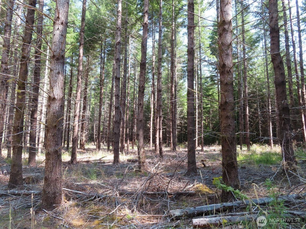 Photo of 0 XXX Chandler Road, Doty, WA 98572 (MLS # 2566749)
