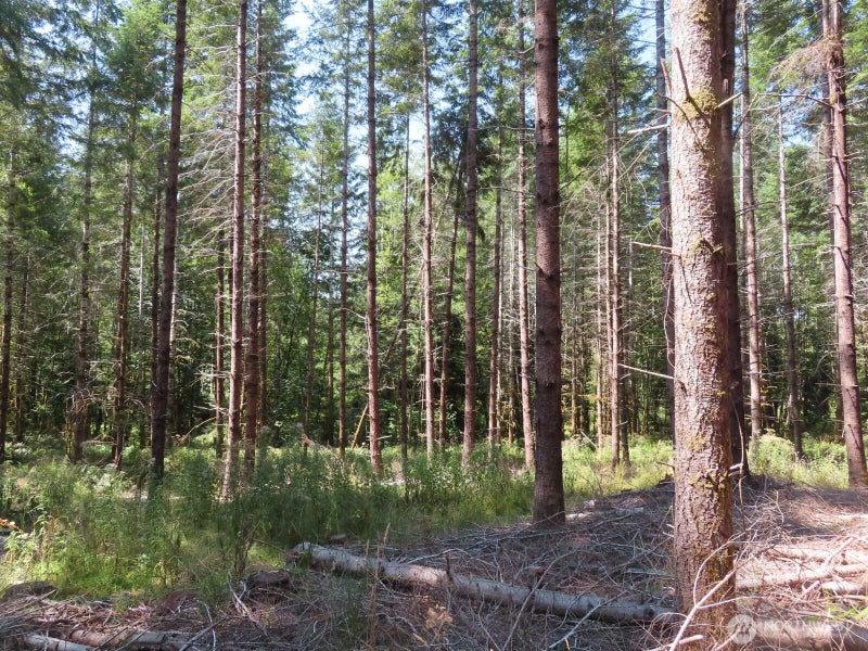 0 Chandler Road