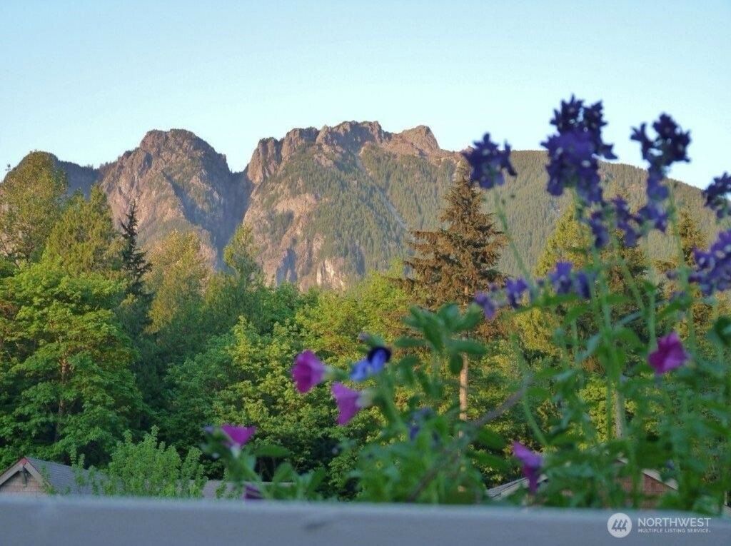 Photo of 895 Snoqualm Place, North Bend, WA 98045 (MLS # 2393197)
