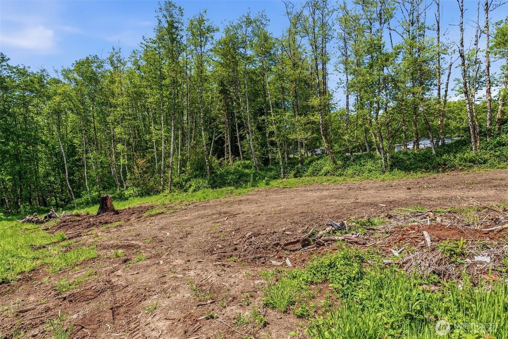 Photo of 303 Upperwest Road, Castle Rock, WA 98611 (MLS # 2532211)